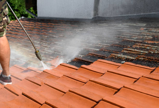 Best House Pressure Washing  in Casselton, ND